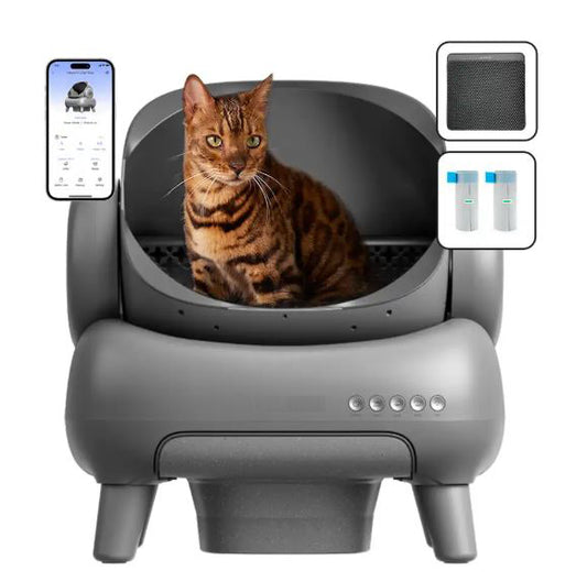 Self Cleaning Cat Litter Box